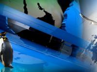 FB体育注册网址-里昂强势中国，阿尔瓦雷斯惊艳世界