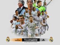 FB体育娱乐-狼群围猎，黄蜂折翼，武切维奇抢七封神之战