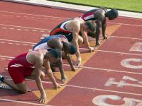 FB体育网页版-森林狼火力全开压制猛龙，布克致命一击让比赛提前失去悬念