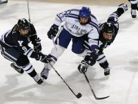 FB体育在线-佛罗伦萨的钢铁意志，奥利维耶一击点燃，艺术足球压制西班牙狂潮