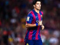 FB体育官网-赛道新秩序，皮亚斯特里状态火热，索伯车队轻取红牛车队