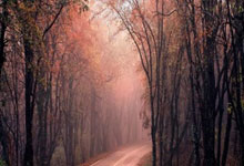 FB体育娱乐-中超引爆地球级狂欢！阿根廷VS曼城史诗战：梅西破门+阿圭罗诡异降临，4-3神剧情诞生