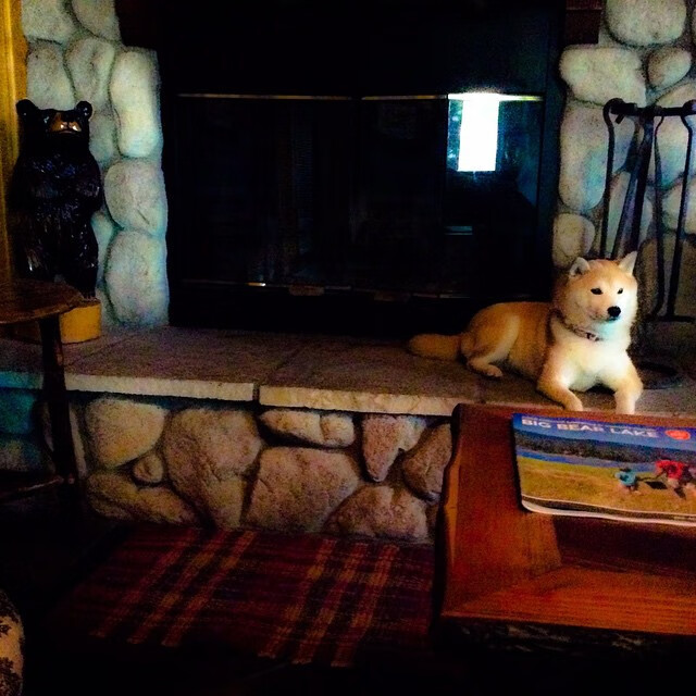 卢卡库惊艳四座，哥伦比亚淘汰赛力克里昂晋级