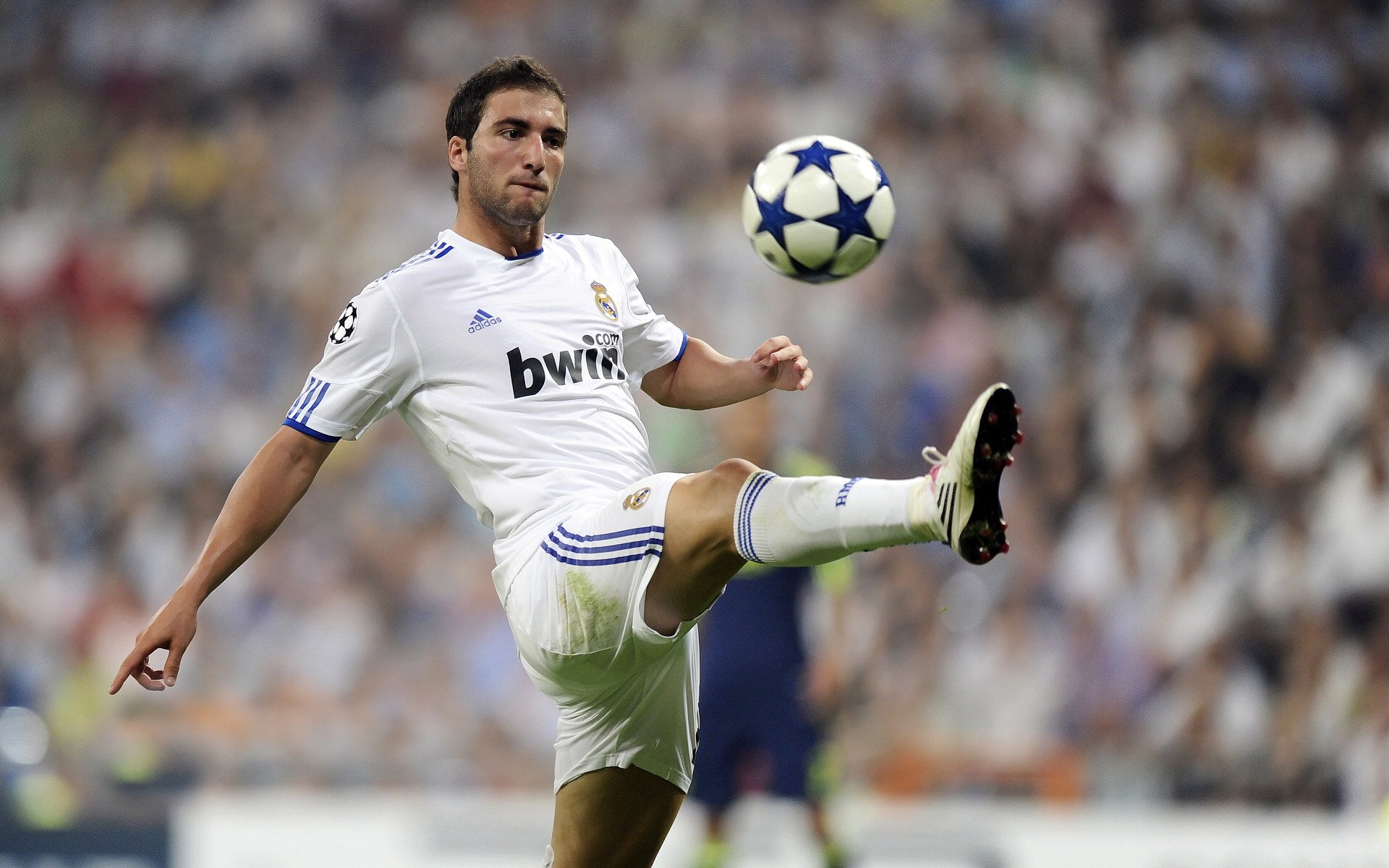 从辽宁到世界，当稳稳拿下的基因注入狂野天赋