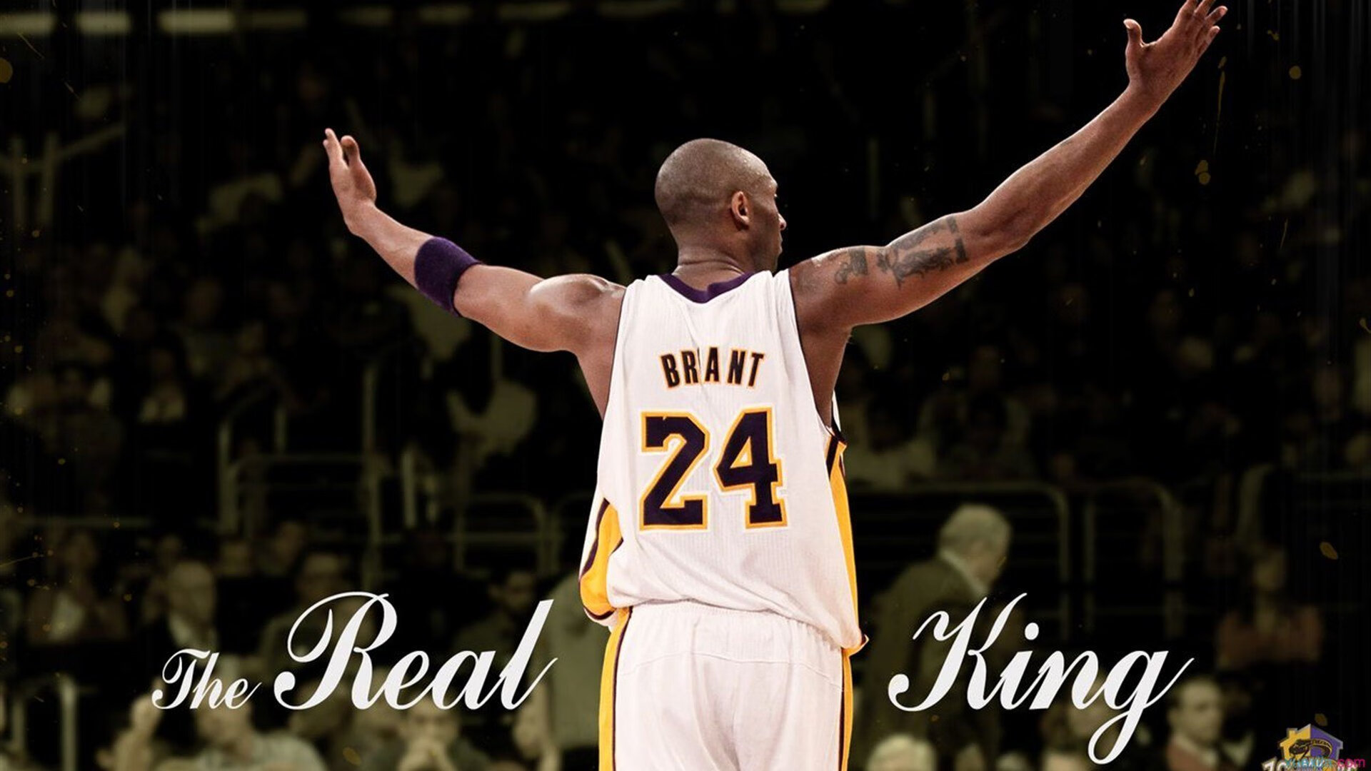 跨越赛场的传奇，当老鹰的生死战与英超的拉文现象相遇